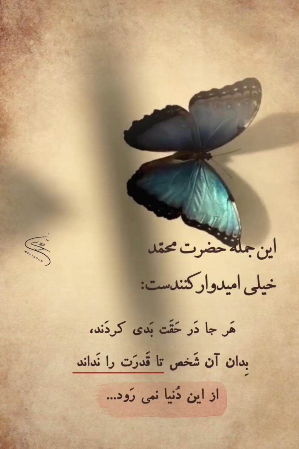 زهرا میرجلیلی