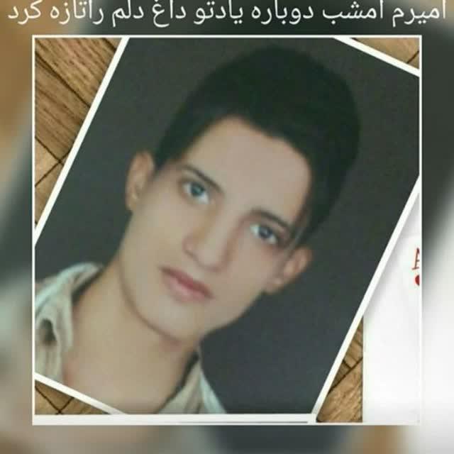 امیر تلخابی