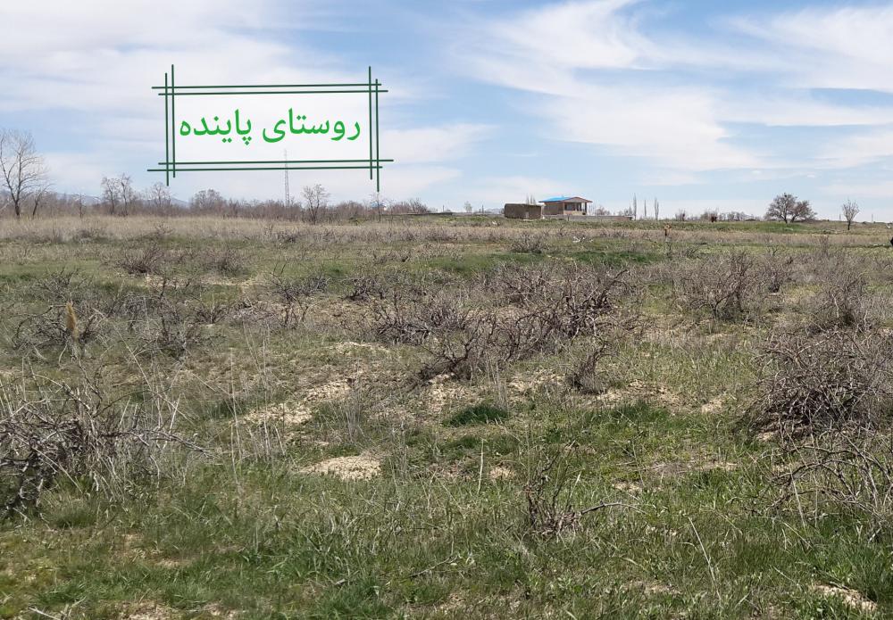 جیران رحیم پور