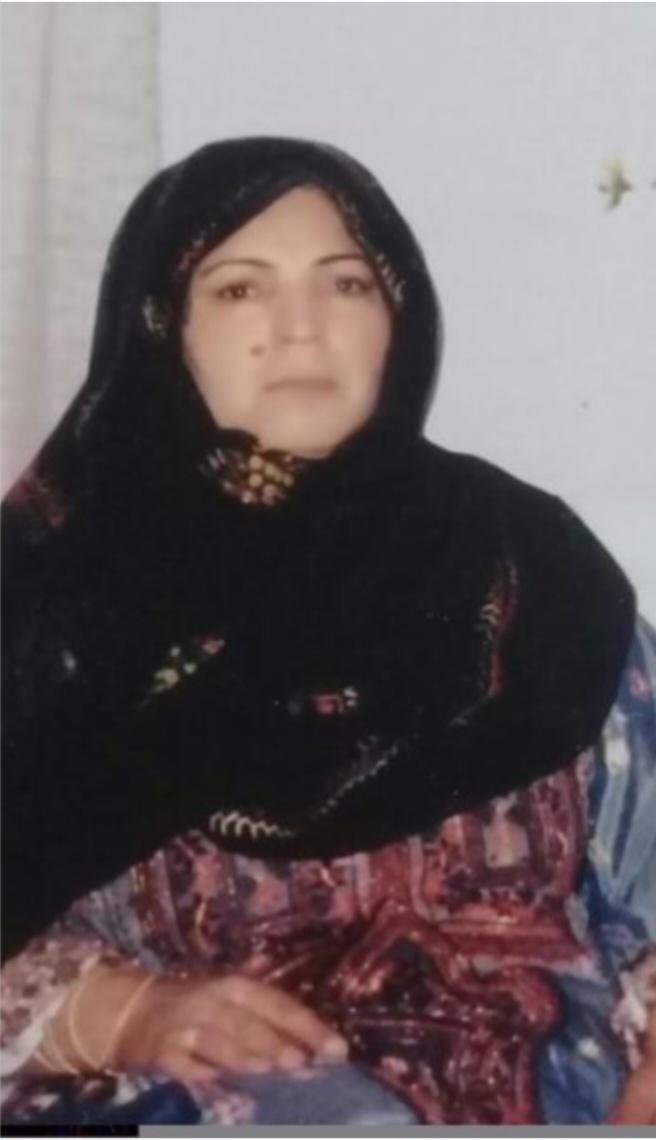 خدیجه عرب خالص