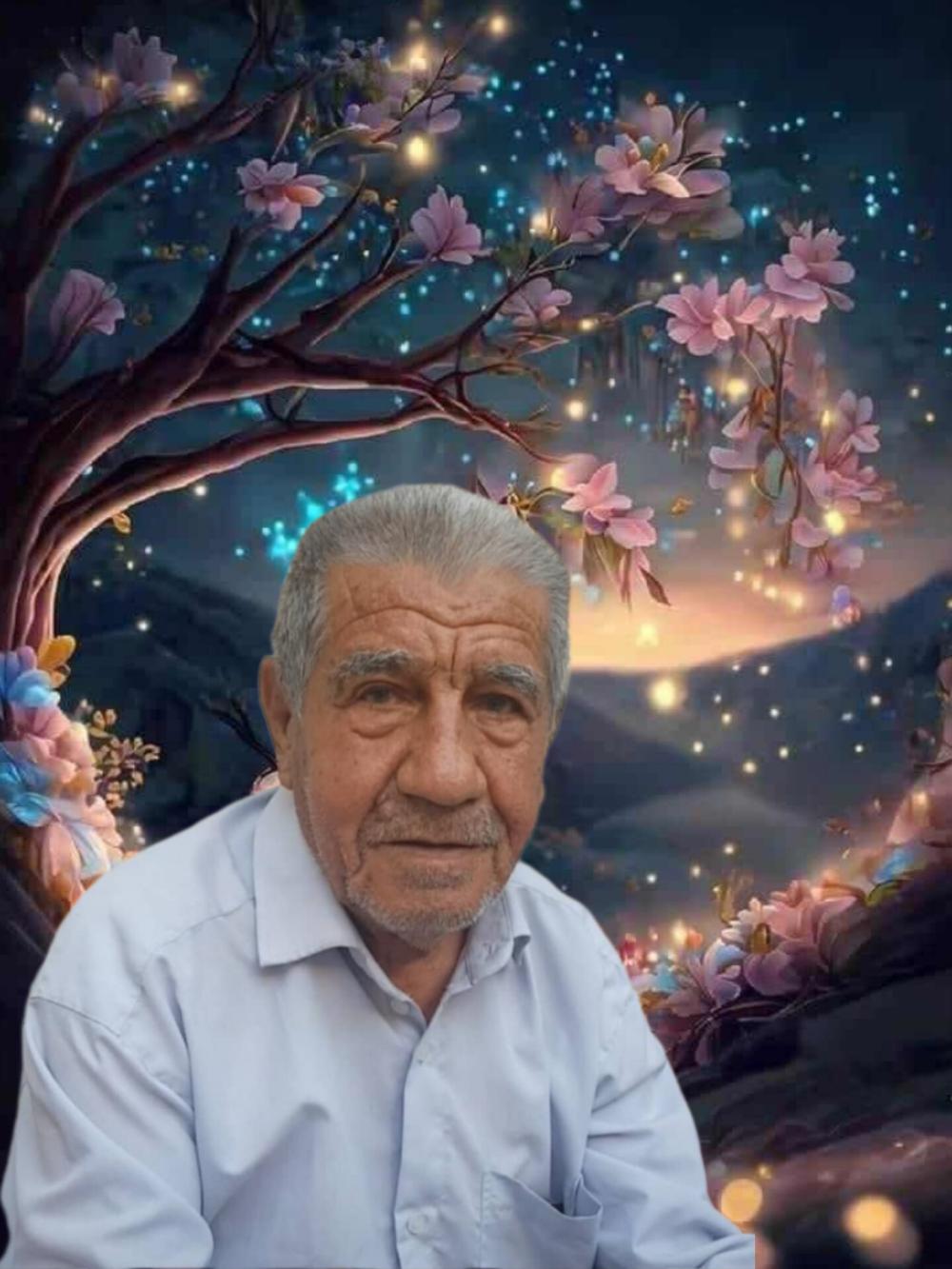 محمدابراهیم پورلطف