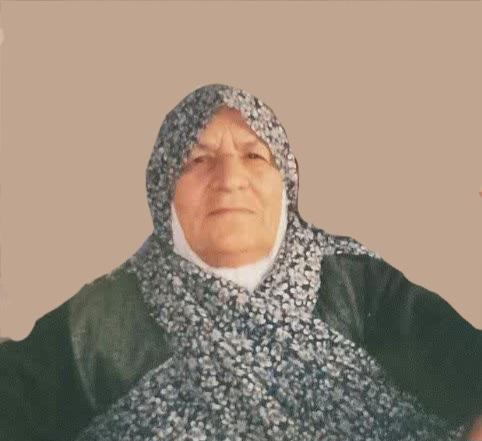 گلی نجفی