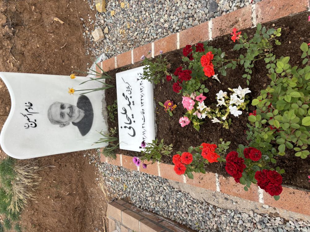 کربلایی مجید علیجانی