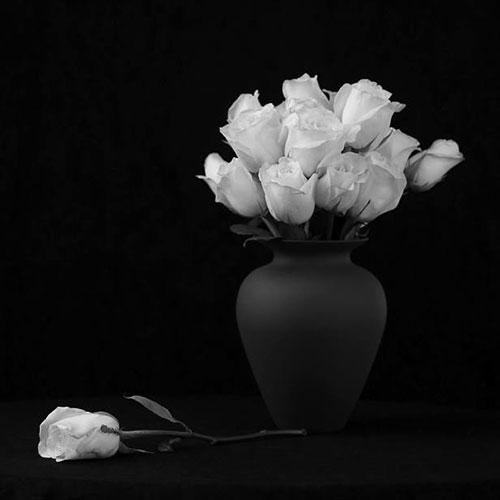 حاجیه خانم تاییدی