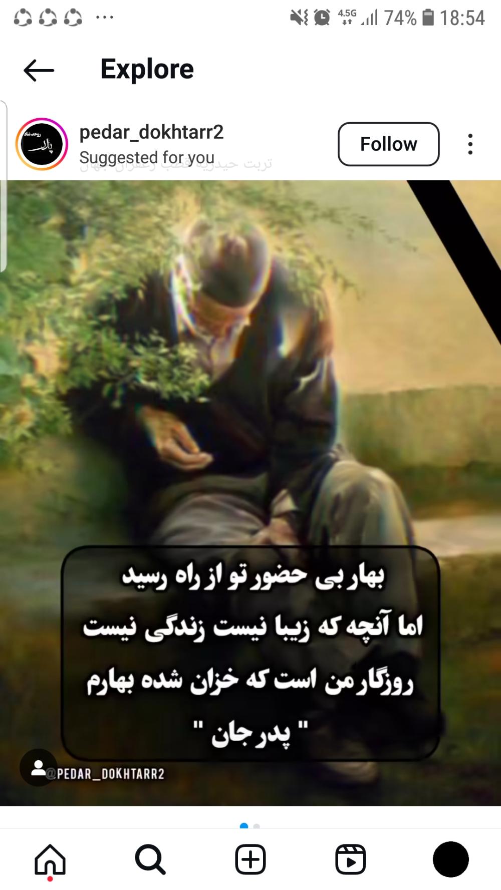 سعید محمد