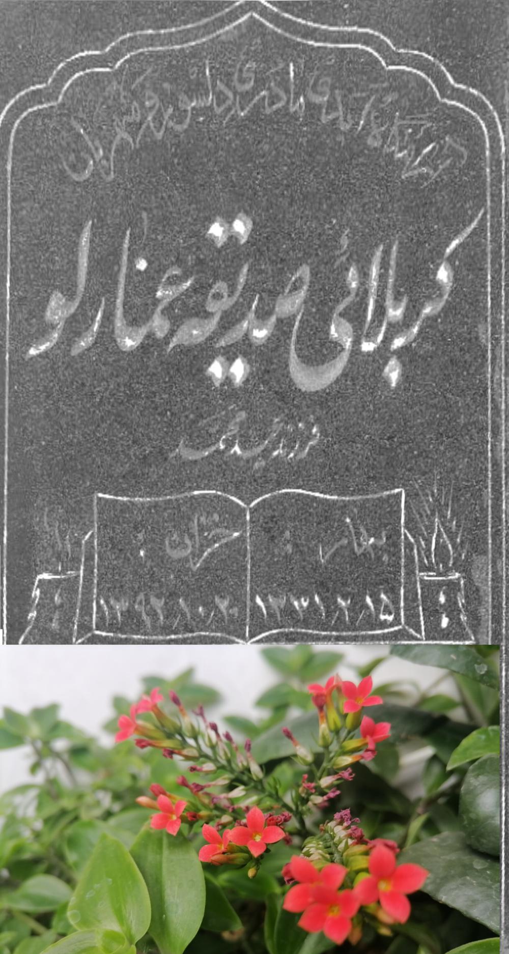 صدیقه عمارلو