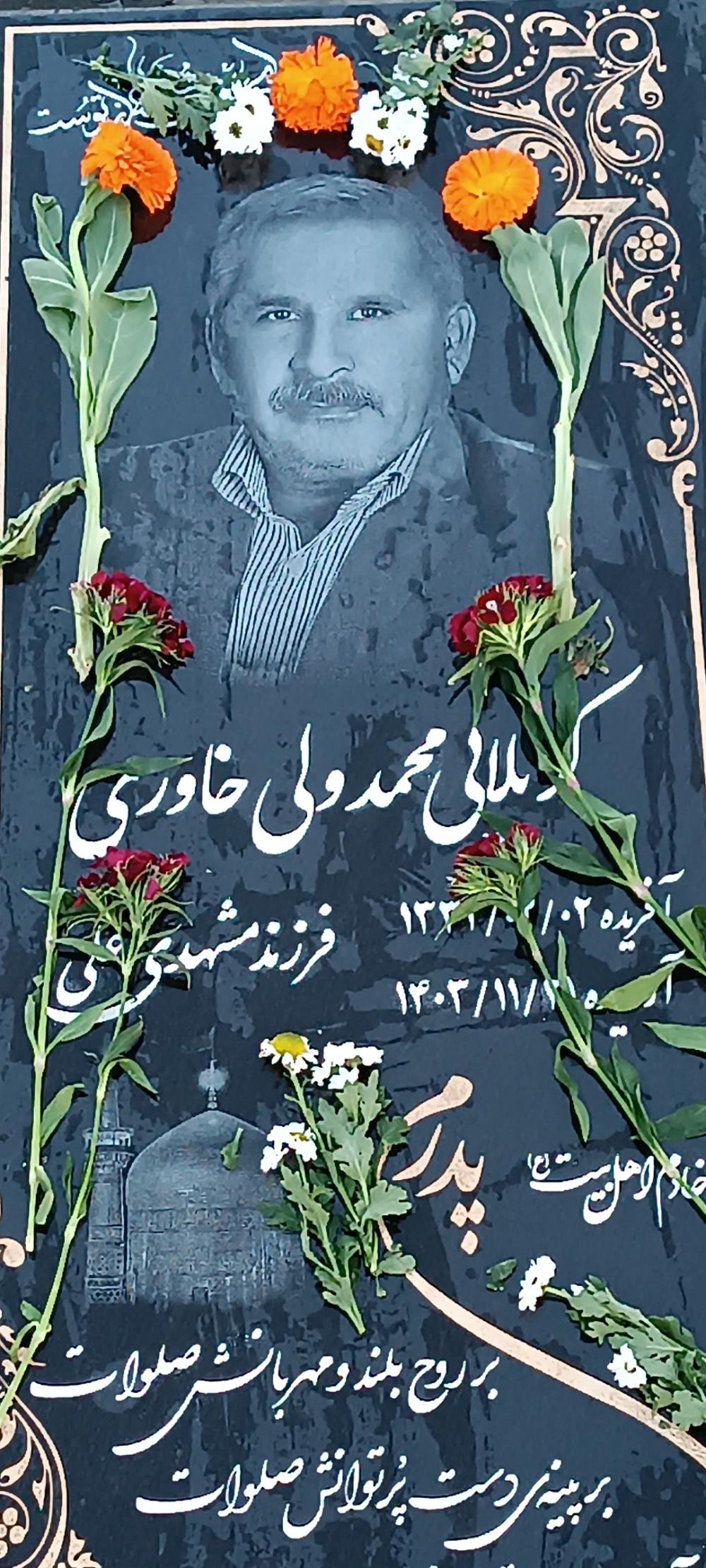 محمدولی خاوری