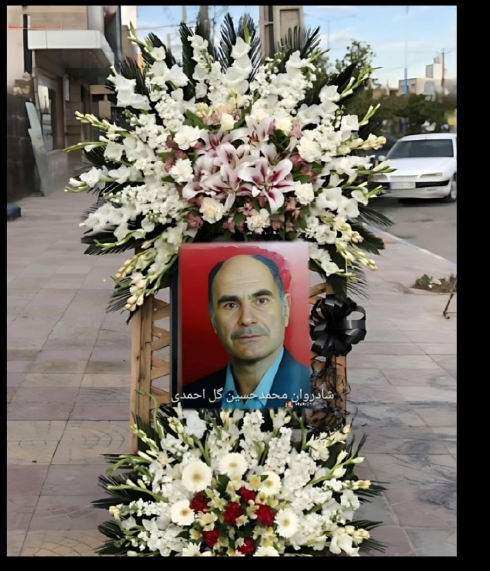 محمدحسین گل احمدی