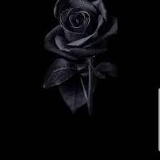 صدیقه محبی