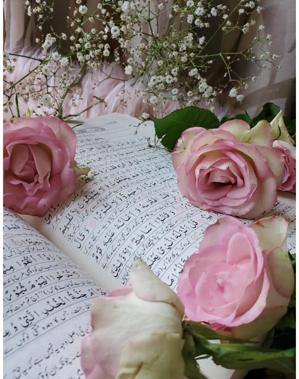 میثم مزارعی