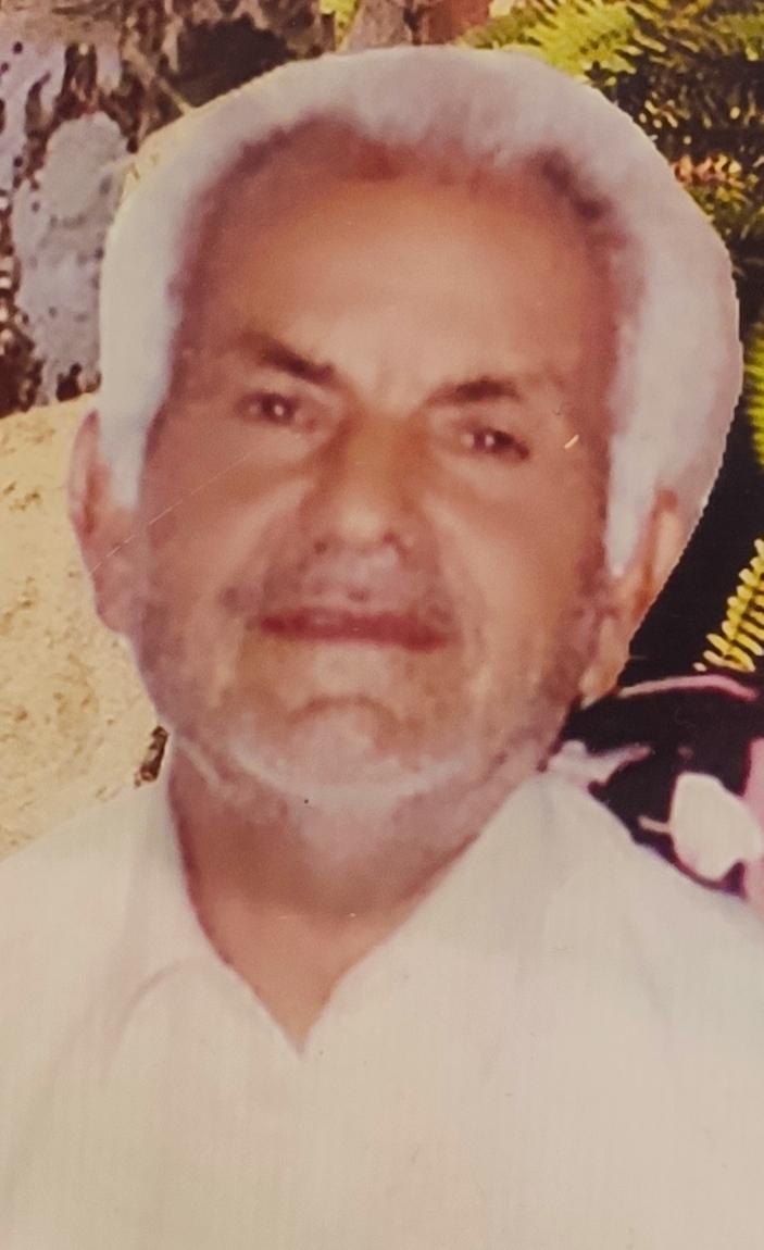 حسن جمیلی