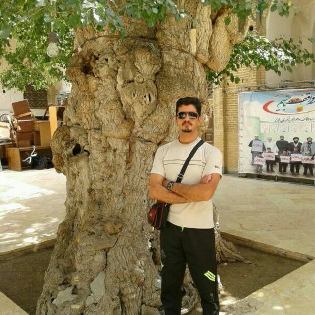 حسین فولادی