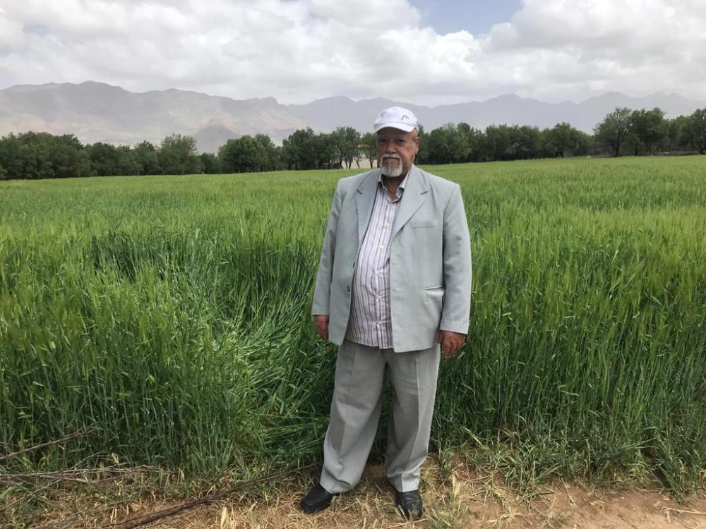 غلامحسین فقیهی