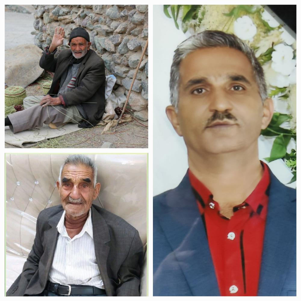 محمدرضا،غلامحسین،محمدحسین چهاردهی