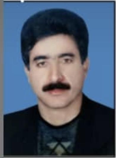پرویز ادیمی