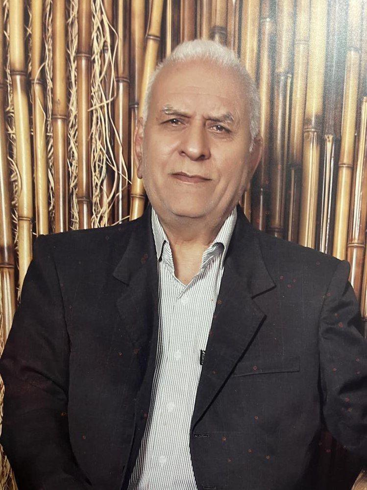 محمدحسین محمدی