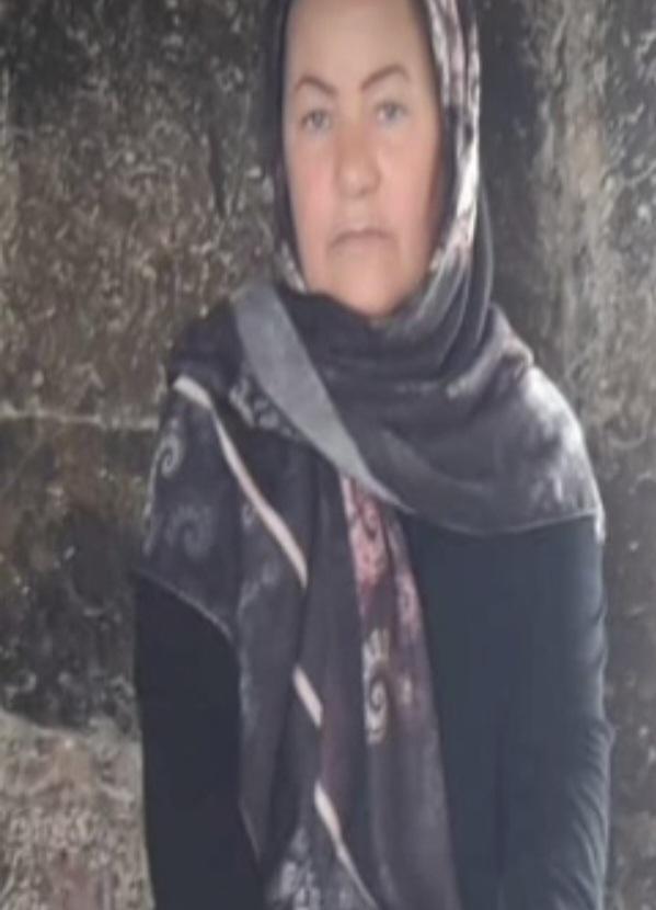 پری محمودی