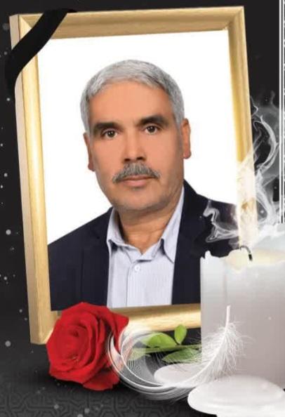 ناصر داودی