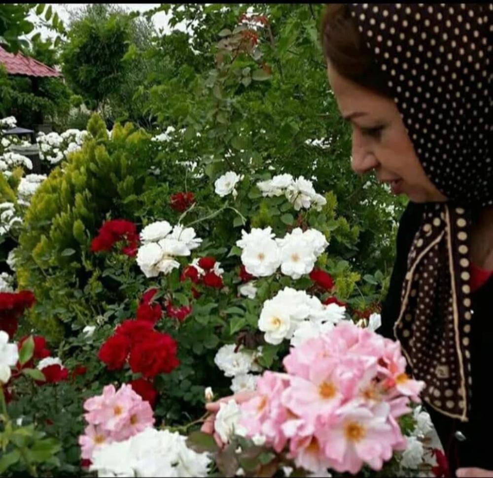 فاطمه صبور انزابی