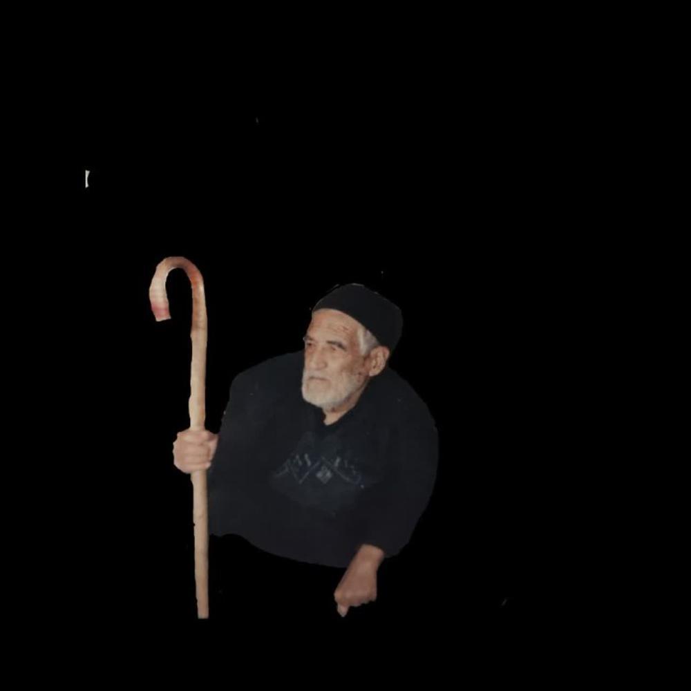سید شاهدین میرزاجانی