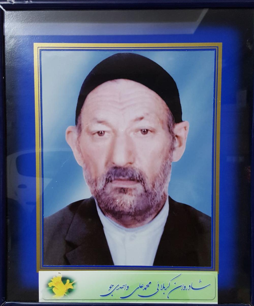 محمدعلی واحدی جو