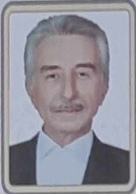 داور میرزاخلیلی