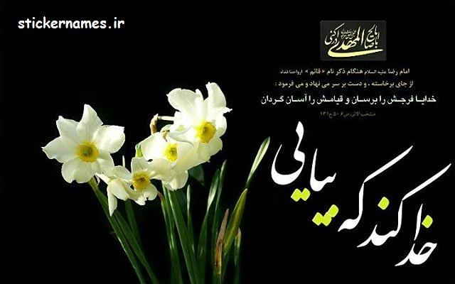 حاج مصطفی شکیب مهر