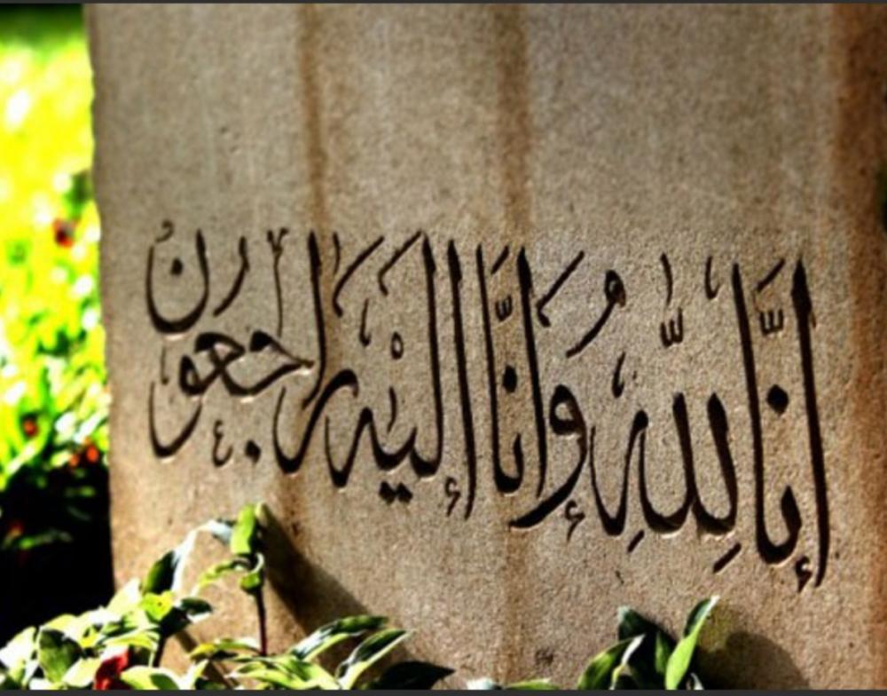 مجید محبی