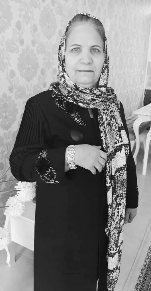 ملوک آریاپور