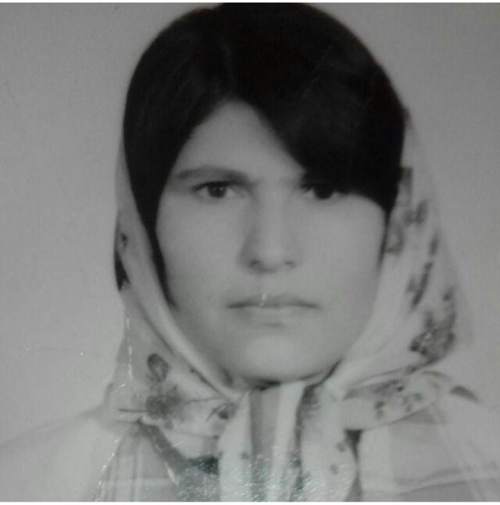 شمسی محمودی کامرود