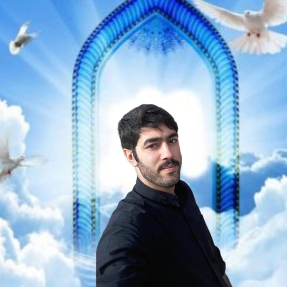 حمید رضا صیادی شهرکی