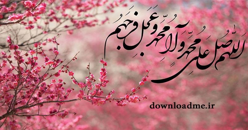 زهرا معظمی