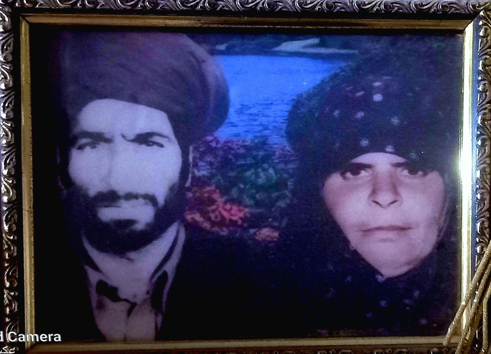 نادر پودینه