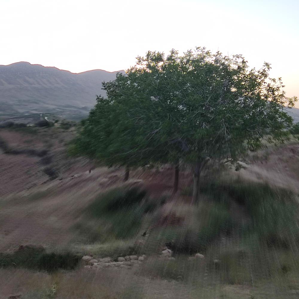 حسین سهامی