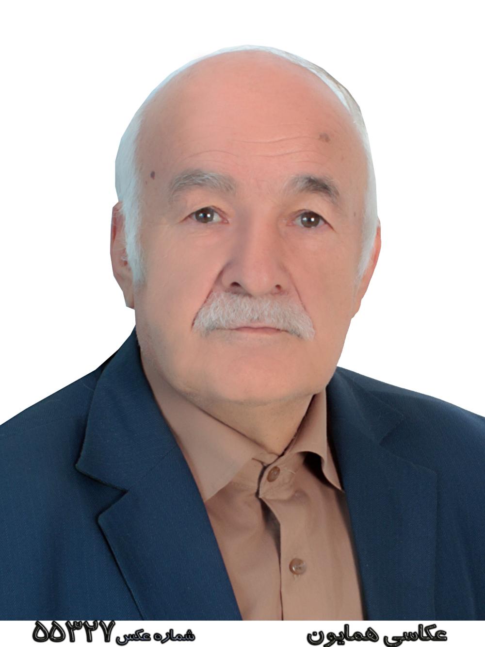 محمد حسن نبی