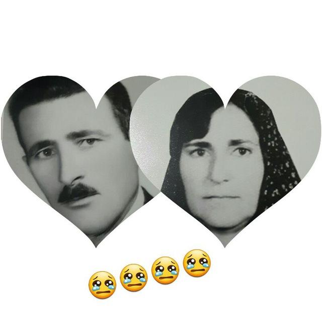 کنیز نژاد شهایی