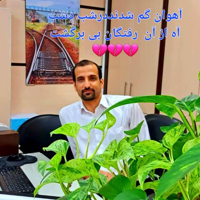 آقای داوود عیسی خانی