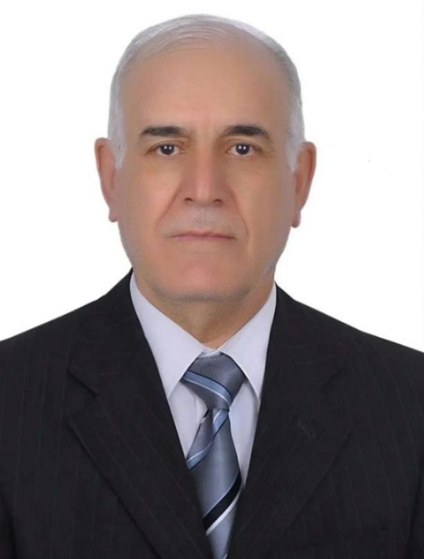 حیدر صالحی