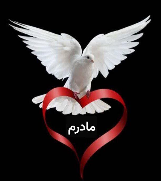 زهرا دهقانی