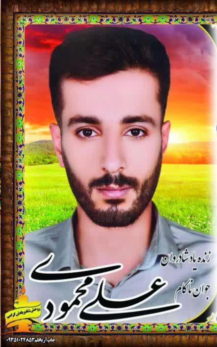علی محمودی