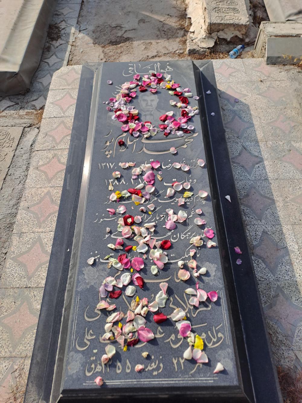 محمد علی اسلامپور