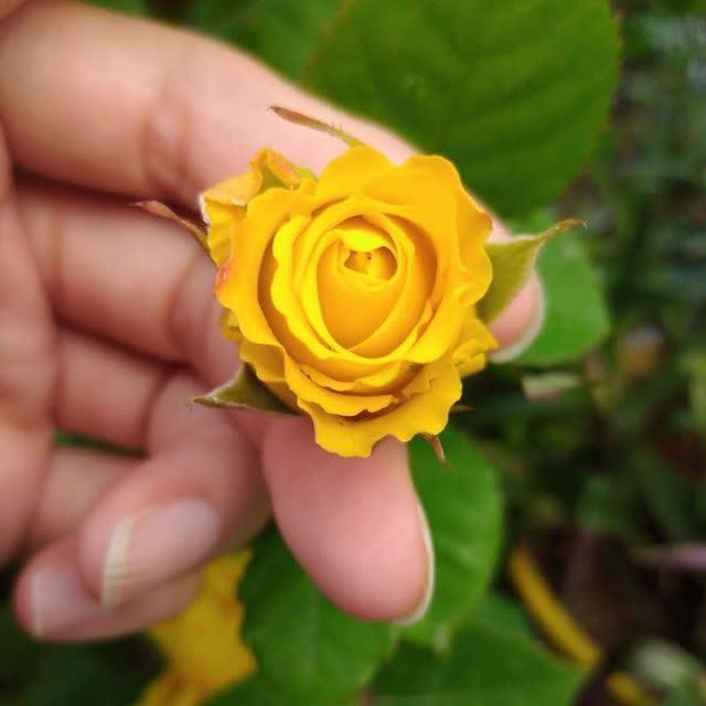 فاطمه ابوالحسنی