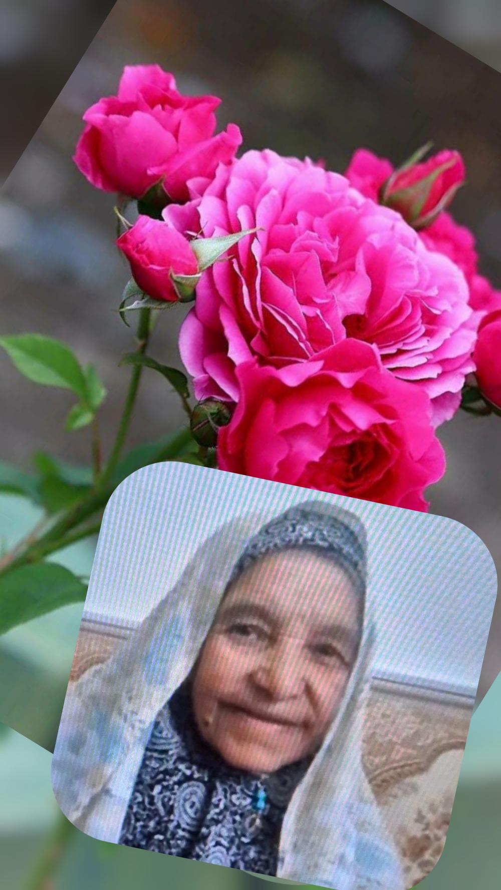 روحان نعمت الهی