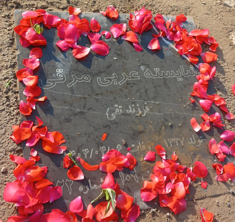 شایسته عربی