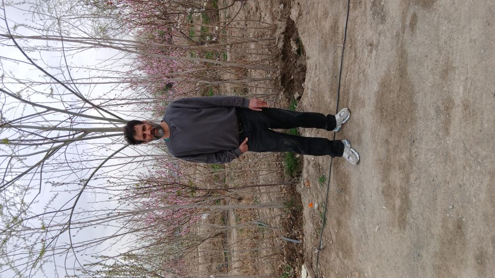 عباس خدابنده