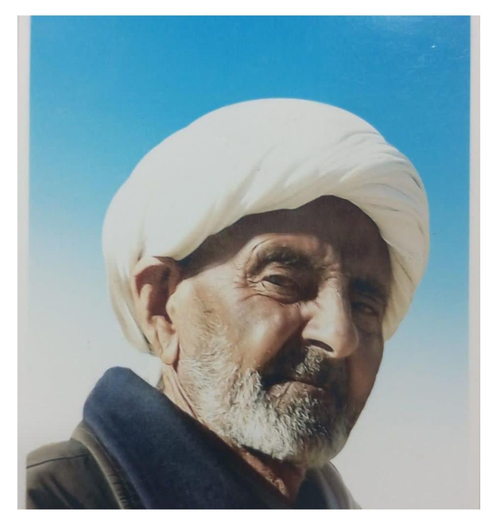 محمدعلی فیروزی