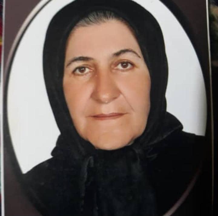 فیروزه صدیقی