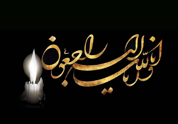 سید اولیاء ملک‌پور