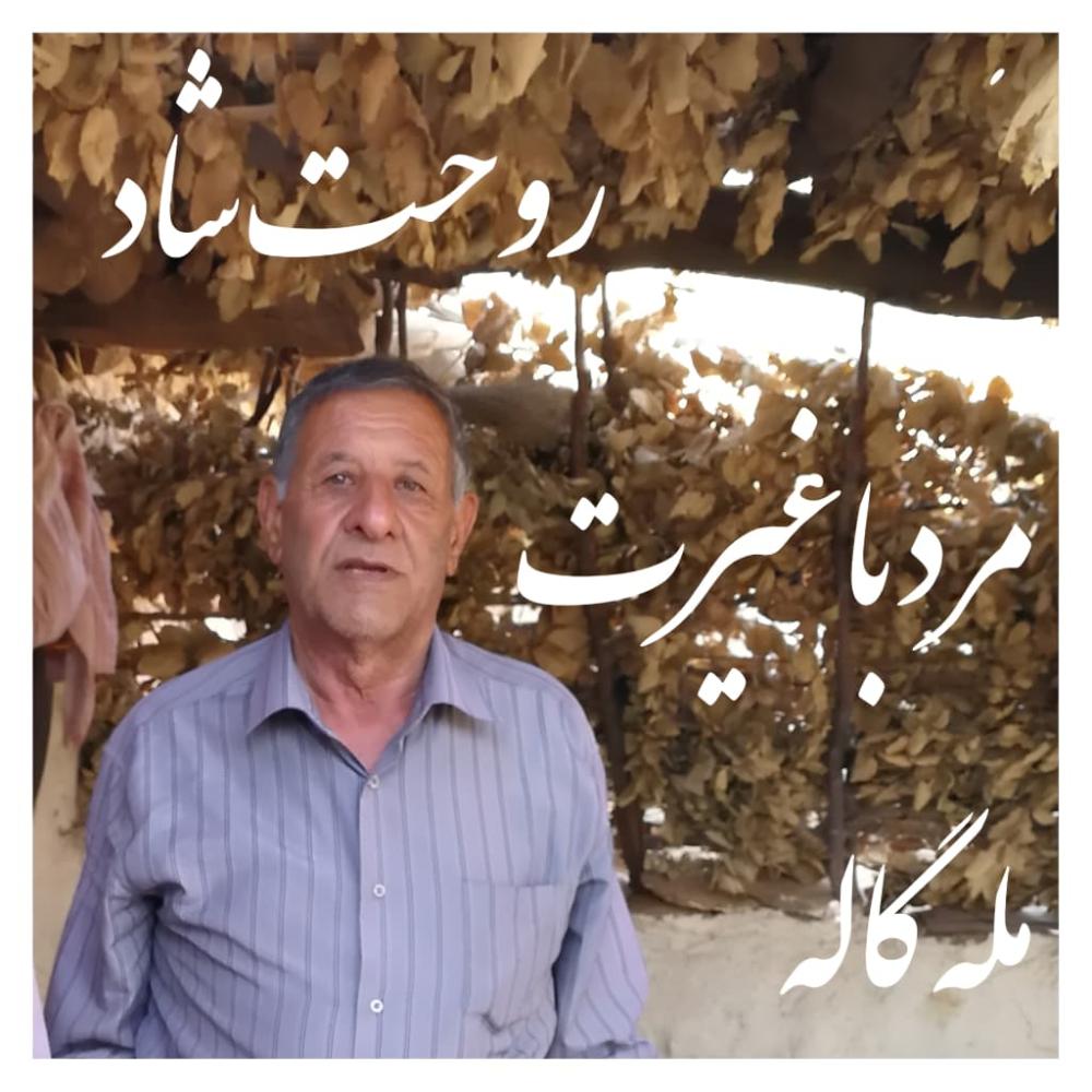 شلال شهبازی