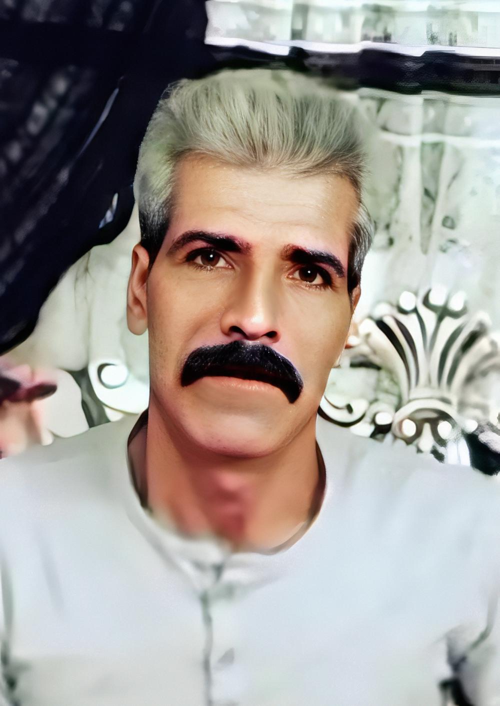 علی حسنی